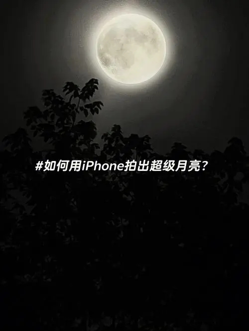 b18365795c5478f39866b50782bd82a4_u=3672830222,3754717191&fm=253&fmt=auto&app=138&f=JPEG_w=500&h=666.webp