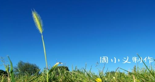 383a3c7456349ebc73592b8951159eeb_16377423316263654.png